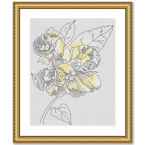 Mock Orange / Peacock & Fig