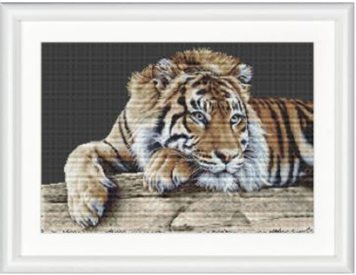 Tiger / Thea Gouverneur / GOK579B