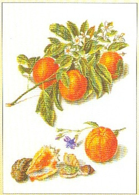 Oranges & Blossoms / Thea Gouverneur / GOK3061A