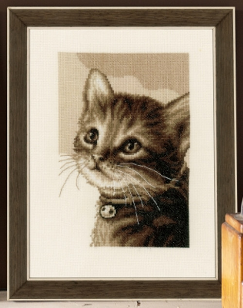 Kitten / Vervaco / PNV158081