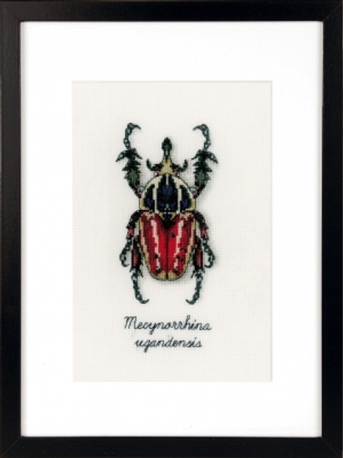 Red Beetle / Vervaco / PNV165074