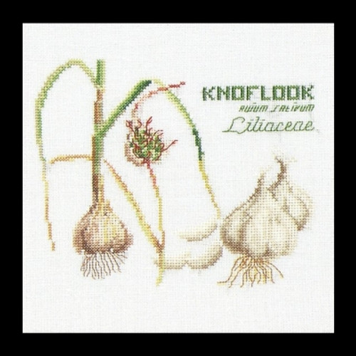Garlic / Thea Gouverneur / GOK3043