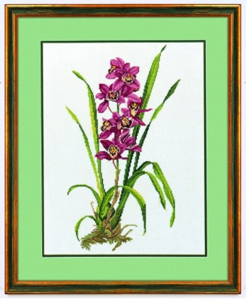 Red Orchid / Eva Rosenstand / 7714155