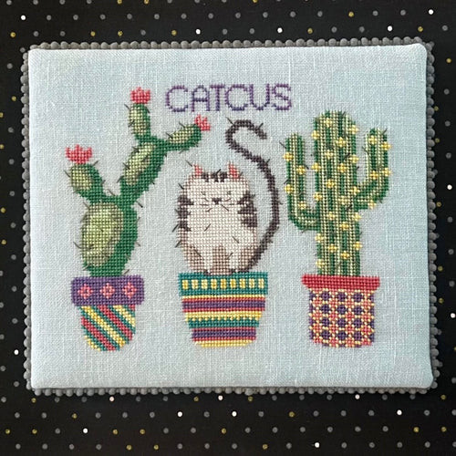 CatCus / Dirty Annie’s