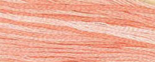 Goldfish / Classic Colorworks