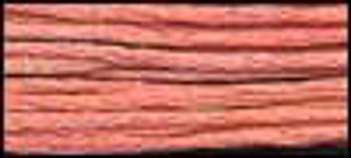 Shrimp Cocktail / Classic Colorworks