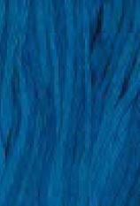 Santa Cruz / Weeks Dye Works