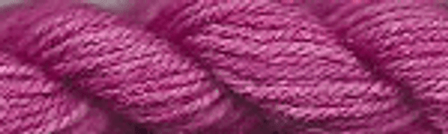 Dragon Fruit / DD SW