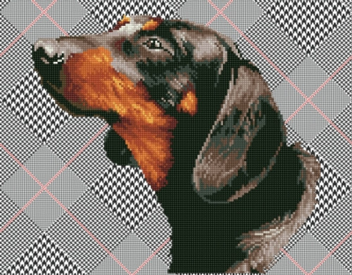 Noble Dachsie / Diamond Dotz / NADD733