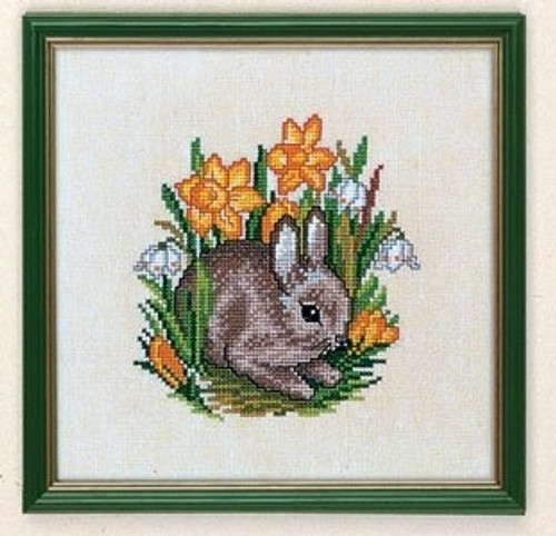 Young Hare / Eva Rosenstand / 7712889