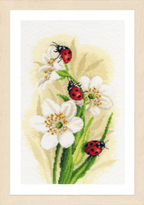 Ladybug Parade / Lanarte / PN191875