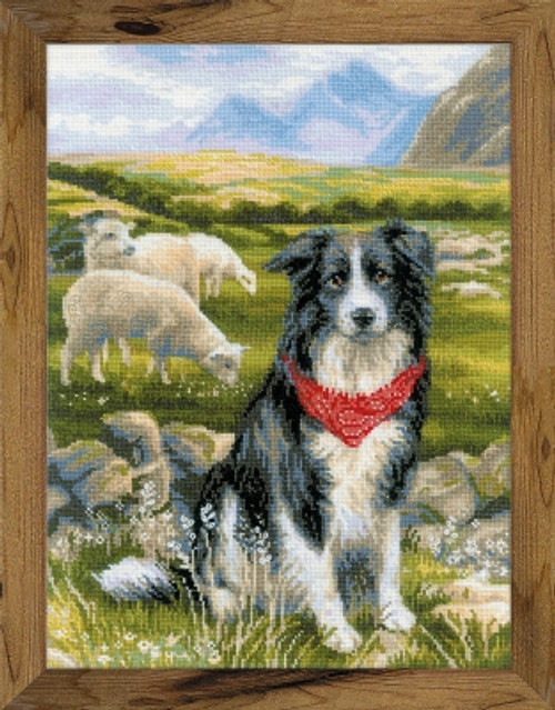 Border Collie / RIOLIS / RL1767