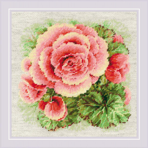 Begonia / RIOLIS / RL2122