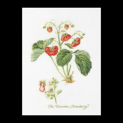 Strawberry / Thea Gouverneur / GOK2085A