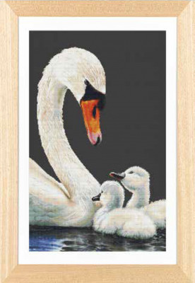 Swans & Cygnets / Thea Gouverneur / GOK606B