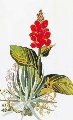 Yucca / Thea Gouverneur / GOK846