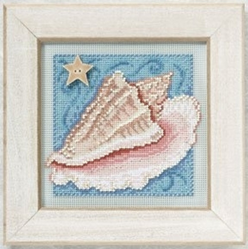 Conch Shell (2010) / Mill Hill / MH140102