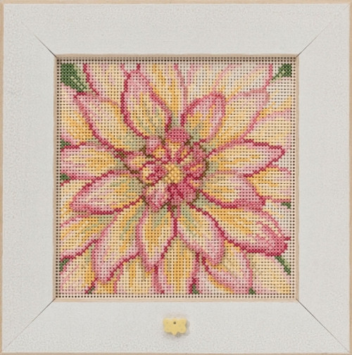 Dahlia (2021) / Mill Hill / MH142112