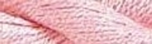 Brown Rose / CMP2035