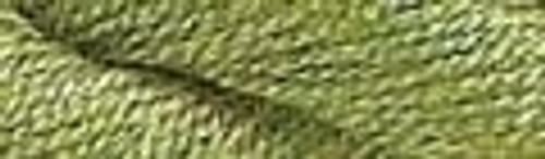 Olive Green / CMP5023