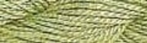 Olive Green / CMP5024