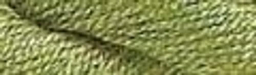 Olive Green / CSC5023