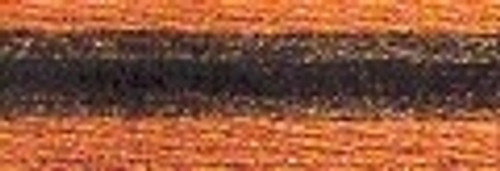 Pumpkin Patch / C597