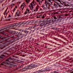 Hawaiian Orchid / VA10M27