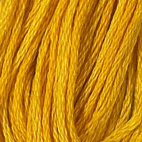 Sunshine Glory / VA1212