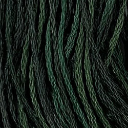 Evergreens / VA12539