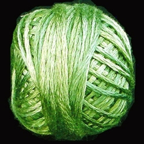 Morning Grass / VAK10560