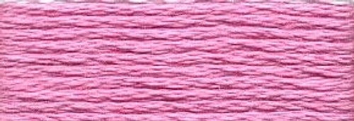 Cranberry Light / 45139