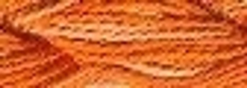 Bonfire / 41554124