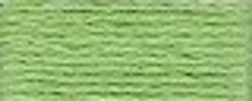 Forest Green / 0989..