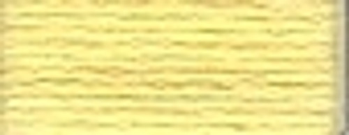 Yellow / 1153745