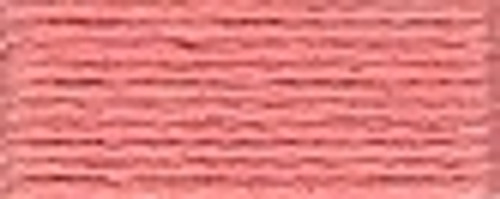 Salmon / 1153760
