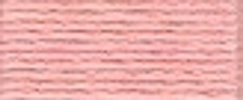 Salmon / 1153761