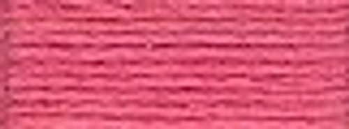 Rose / 1153961