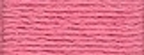 Rose / 1153962