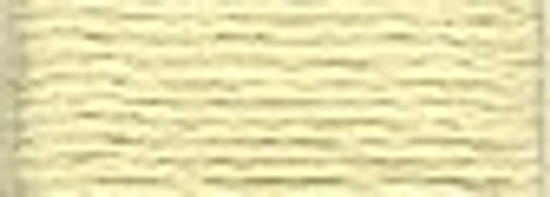 Beige / 11533047