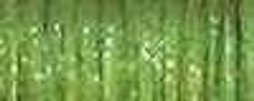 5535 / Oregano / B2915