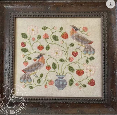 Stawberry Bird / Blue Flower, The