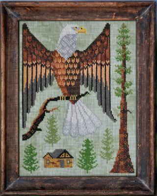 A Year in the Woods - Part 7 - The Bald Eagle / Cottage Garden Samplings
