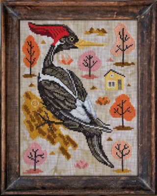 A Year in the Woods - Part 9 - The Woodpecker / Cottage Garden Samplings
