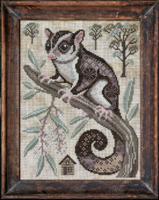 A Year in The Woods II - Part 2 - The Sugar Glider / Cottage Garden Samplings