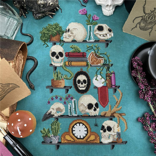 A Study Of Skulls / The Stitch Crypt