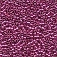 Brilliant Fuschia / Mill Hill / 20252
