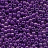 Purple / Mill Hill / 11008