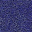 Periwinkle / Mill Hill / 00252