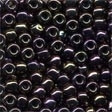 Eggplant / Mill Hill / 62044
